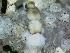  ( - IQCAD-0127)  @11 [ ] Unspecified (default): All Rights Reserved  Unspecified Unspecified
