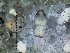  ( - IQCAD-0138)  @11 [ ] Unspecified (default): All Rights Reserved  Unspecified Unspecified