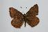  ( - ARLY-101b-001)  @13 [ ] Unspecified (default): All Rights Reserved  Unspecified Unspecified