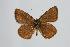  ( - ARLY-165c-001)  @13 [ ] Unspecified (default): All Rights Reserved  Unspecified Unspecified
