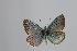  ( - ARLY-169a-001)  @12 [ ] Unspecified (default): All Rights Reserved  Unspecified Unspecified