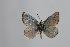  ( - ARLY-0104-004)  @13 [ ] Unspecified (default): All Rights Reserved  Unspecified Unspecified
