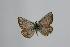  ( - ARLY-118e-005)  @13 [ ] Unspecified (default): All Rights Reserved  Unspecified Unspecified
