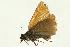  ( - VNLEP00006)  @12 [ ] Unspecified (default): All Rights Reserved  Unspecified Unspecified