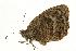  ( - VNLEP00062)  @11 [ ] Unspecified (default): All Rights Reserved  Unspecified Unspecified