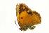  ( - VNLEP00109)  @13 [ ] Unspecified (default): All Rights Reserved  Unspecified Unspecified