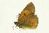  ( - VNLEP00110)  @13 [ ] Unspecified (default): All Rights Reserved  Unspecified Unspecified