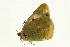  ( - VNLEP00114)  @12 [ ] Unspecified (default): All Rights Reserved  Unspecified Unspecified