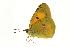  ( - VNLEP00117)  @13 [ ] Unspecified (default): All Rights Reserved  Unspecified Unspecified