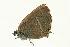  ( - VNLEP00161)  @12 [ ] Unspecified (default): All Rights Reserved  Unspecified Unspecified