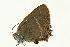  ( - VNLEP00162)  @12 [ ] Unspecified (default): All Rights Reserved  Unspecified Unspecified