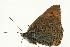  ( - VNLEP00163)  @12 [ ] Unspecified (default): All Rights Reserved  Unspecified Unspecified