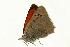  ( - VNLEP00167)  @12 [ ] Unspecified (default): All Rights Reserved  Unspecified Unspecified