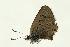  ( - VNLEP00174)  @12 [ ] Unspecified (default): All Rights Reserved  Unspecified Unspecified