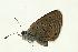  ( - VNLEP00176)  @12 [ ] Unspecified (default): All Rights Reserved  Unspecified Unspecified