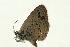  ( - VNLEP00183)  @13 [ ] Unspecified (default): All Rights Reserved  Unspecified Unspecified