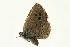 ( - VNLEP00185)  @13 [ ] Unspecified (default): All Rights Reserved  Unspecified Unspecified