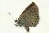  ( - VNLEP00198)  @12 [ ] Unspecified (default): All Rights Reserved  Unspecified Unspecified