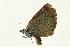  ( - VNLEP00200)  @12 [ ] Unspecified (default): All Rights Reserved  Unspecified Unspecified