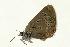  ( - VNLEP00212)  @12 [ ] Unspecified (default): All Rights Reserved  Unspecified Unspecified