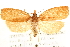  ( - CCDB-28543-G10)  @13 [ ] CreativeCommons - Attribution (2015) CBG Photography Group Centre for Biodiversity Genomics