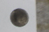  ( - MFLSCH738-B11)  @11 [ ] CreativeCommons  Attribution Non-Commercial Share-Alike (2019) Jose Angel Cohuo El Colegio de la Frontera Sur