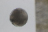  ( - MFLSCH738-B11)  @11 [ ] CreativeCommons  Attribution Non-Commercial Share-Alike (2019) Jose Angel Cohuo El Colegio de la Frontera Sur