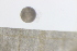  ( - MFLSCH738-C07)  @11 [ ] CreativeCommons  Attribution Non-Commercial Share-Alike (2019) Jose Angel Cohuo El Colegio de la Frontera Sur