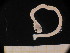  ( - MFLSCH738-F11)  @11 [ ] CreativeCommons  Attribution Non-Commercial Share-Alike (2019) Jose Angel Cohuo El Colegio de la Frontera Sur
