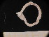  ( - MFLSCH738-F11)  @11 [ ] CreativeCommons  Attribution Non-Commercial Share-Alike (2019) Jose Angel Cohuo El Colegio de la Frontera Sur