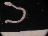  ( - MFLSCH738-G03)  @11 [ ] CreativeCommons  Attribution Non-Commercial Share-Alike (2019) Jose Angel Cohuo El Colegio de la Frontera Sur