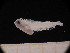  ( - MFLSCH738-G08)  @11 [ ] CreativeCommons  Attribution Non-Commercial Share-Alike (2019) Jose Angel Cohuo El Colegio de la Frontera Sur