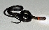  (Urotheca fulviceps - MHUA-R 15132)  @11 [ ] CreativeCommons - Attribution Share-Alike (2018) Grupo Herpetologico de Antioquia Universidad de Antioquia, Museo de Herpetologia