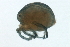  ( - CNC-IMS090088.053)  @14 [ ] CreativeCommons - Attribution (2009) Unspecified Centre for Biodiversity Genomics