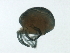  ( - CNC-IMS090088.054)  @14 [ ] CreativeCommons - Attribution (2009) Unspecified Centre for Biodiversity Genomics