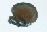  ( - CNC-IMS090088.055)  @14 [ ] CreativeCommons - Attribution (2009) Unspecified Centre for Biodiversity Genomics