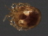  ( - CNC-IMS090093.048)  @11 [ ] CreativeCommons - Attribution (2010) Unspecified Centre for Biodiversity Genomics