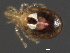  ( - CNC-IMS090093.052)  @11 [ ] CreativeCommons - Attribution (2010) Unspecified Centre for Biodiversity Genomics
