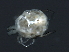 ( - CNC-IMS090088.103)  @13 [ ] CreativeCommons - Attribution (2010) Unspecified Centre for Biodiversity Genomics