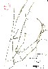  ( - VA21495)  @11 [ ] CreativeCommons - Attribution (2017) Icelandic Institute of Natural History Icelandic Istitute of Natunal History