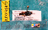  ( - NEONcarabid8479)  @13 [ ] Copyright (2010) National Ecological Observatory Network, Inc. National Ecological Observatory Network (NEON) http://www.neoninc.org/content/copyright