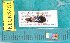 ( - NEONcarabid8481)  @13 [ ] Copyright (2010) National Ecological Observatory Network, Inc. National Ecological Observatory Network (NEON) http://www.neoninc.org/content/copyright