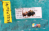  ( - NEONcarabid8490)  @13 [ ] Copyright (2010) National Ecological Observatory Network, Inc. National Ecological Observatory Network (NEON) http://www.neoninc.org/content/copyright