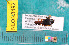  ( - NEONcarabid8492)  @13 [ ] Copyright (2010) National Ecological Observatory Network, Inc. National Ecological Observatory Network (NEON) http://www.neoninc.org/content/copyright