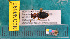  ( - NEONcarabid8496)  @13 [ ] Copyright (2010) National Ecological Observatory Network, Inc. National Ecological Observatory Network (NEON) http://www.neoninc.org/content/copyright