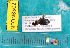  ( - NEONcarabid8502)  @13 [ ] Copyright (2010) National Ecological Observatory Network, Inc. National Ecological Observatory Network (NEON) http://www.neoninc.org/content/copyright