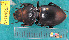  ( - NEONcarabid8531)  @13 [ ] Copyright (2010) National Ecological Observatory Network, Inc. National Ecological Observatory Network (NEON) http://www.neoninc.org/content/copyright