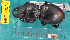  ( - NEONcarabid8547)  @13 [ ] Copyright (2010) National Ecological Observatory Network, Inc. National Ecological Observatory Network (NEON) http://www.neoninc.org/content/copyright