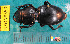  ( - NEONcarabid8550)  @13 [ ] Copyright (2010) National Ecological Observatory Network, Inc. National Ecological Observatory Network (NEON) http://www.neoninc.org/content/copyright