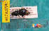  ( - NEONcarabid8586)  @13 [ ] Copyright (2010) National Ecological Observatory Network, Inc. National Ecological Observatory Network (NEON) http://www.neoninc.org/content/copyright